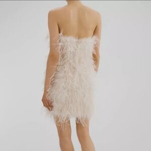 Feather mini dress nwt